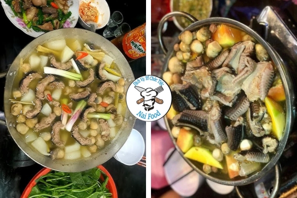 Rắn hổ hành hầm đu đủ Rắn hổ hành hầm đu đủ