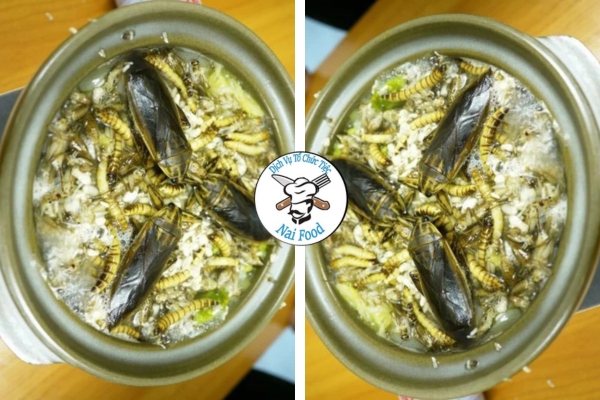 Lẩu côn trùng (bọ cạp, châu chấu, nhộng) Lẩu côn trùng (bọ cạp, châu chấu, nhộng)